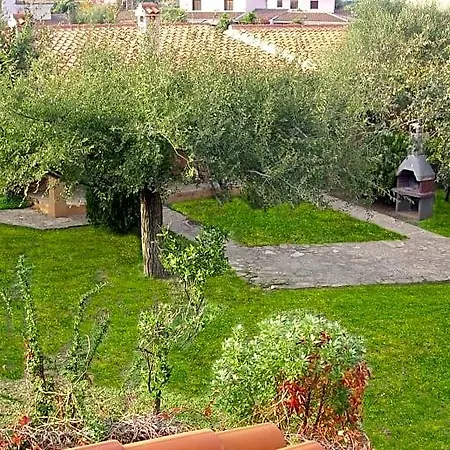 Il Melograno * San Teodoro (Sardinia)